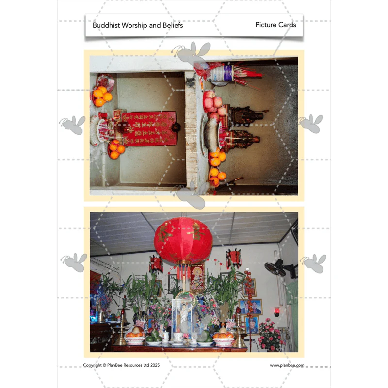 Product image 65