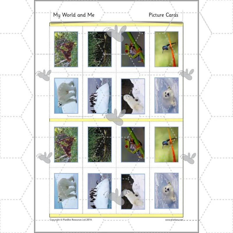 Product image 48